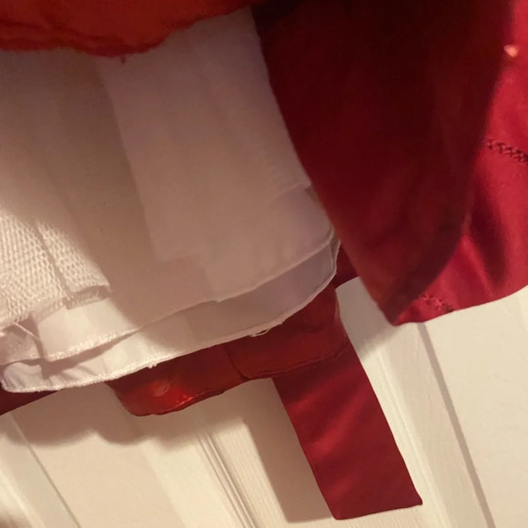 Cinderella Holiday Dress - Picture 7 of 7